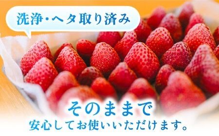 【予約：2025年3月より順次発送】完熟冷凍あまおう 1kg 糸島市 / slowberry strawberry [APJ006] あまおう いちご 果物