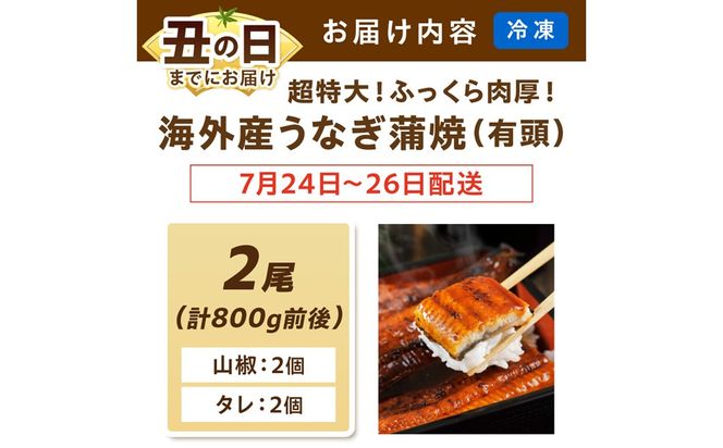 【7月24～26日配送】超特大！ふっくら肉厚！うなぎ蒲焼 2尾 合計800g前後 ふるさと納税 鰻 外国産 ウナギ 肉厚 蒲焼 鰻の蒲焼 有頭 蒲焼き　YK00403_01