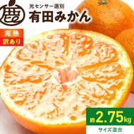 《2026年11月上旬～2027年1月下旬頃に順次発送》【2026年先行予約】家庭用 完熟有田みかん約2.5kg+250g（傷み補償分）【わけあり・訳あり】【光センサー選果】_ZH7127