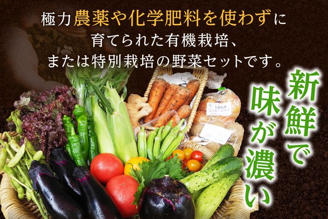 京の旬野菜セットL平飼い卵付き（栽培期間中農薬・化学肥料不使用）<アスカ有機農園>　AY00005