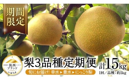 【 JA 北つくば 】 筑西ブランド 認証品 梨 3種 定期便 セット 2026年産 先行予約 果物 フルーツ なし ナシ 和梨 [AE031ci]