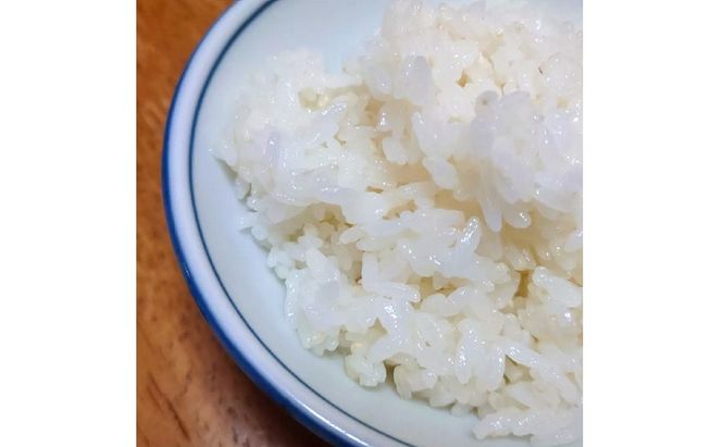 玄米 【玄米】特別栽培れんげ米 日進市産米 30kg×1袋  米 コメ お米 あいちのかおり 特別栽培米 れんげ草 日進市 愛知県