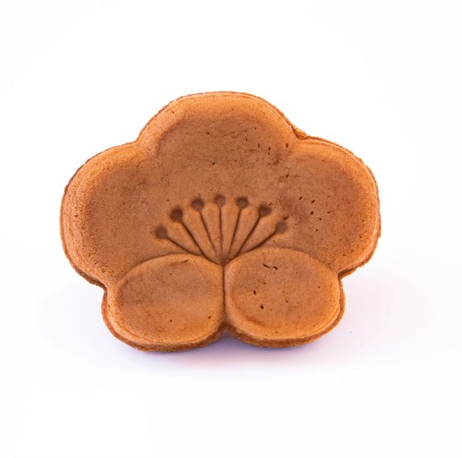 焼き 饅頭 「うめうさ」10個入り もっちり生地と上品なこしあんの和菓子 有田銘菓【梅義】(A1201-1)