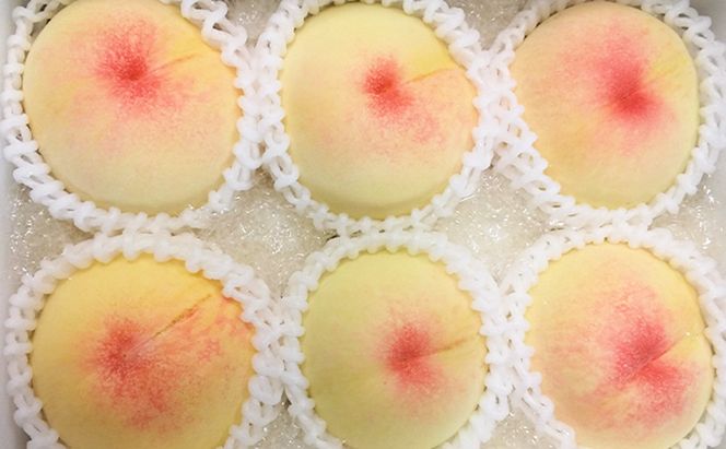 桃 2026年 先行予約 8月の旬な白桃【2種】 食べ比べ セット 約1.5kg 5～7玉 糖度センサー選果 糖度12度以上 あみかフルーツ 白桃 岡山