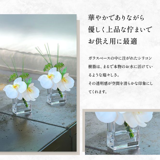 エミリオロバ　仏花セットC　ファレノプシスXS 2個セット