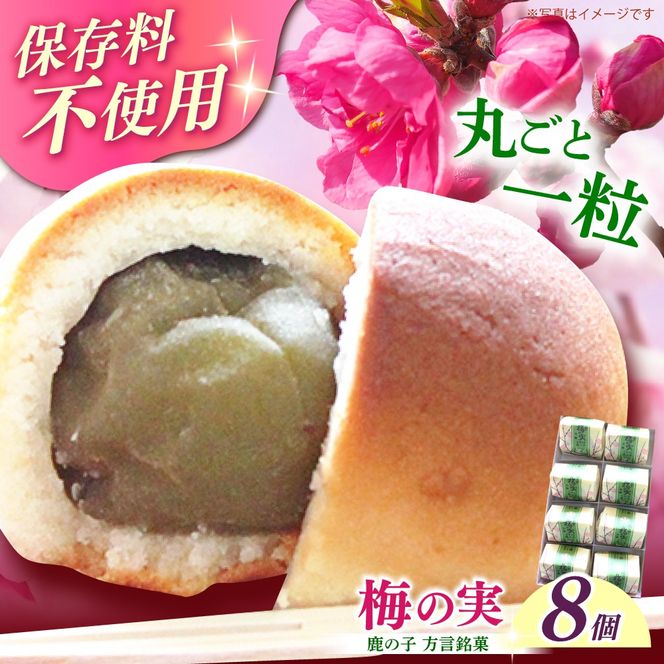 【老舗の菓子屋】築上銘菓「 梅の実 」8 個《築上町》【有限会社 御菓子司 鹿の子】[ABAC016]