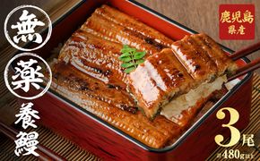 【無薬養鰻】 鹿児島産 山田のうなぎ ＜計480g以上＞（160g以上×3尾） a6-062