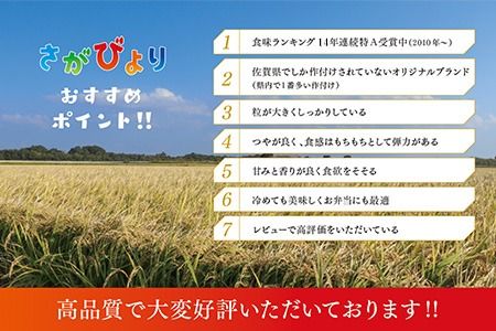 【令和6年産 新米】さがびより 精米 5kg【特A受賞米 米 5kg お米 コメ こめ 国産 美味しい ブランド米 人気 ランキング】(H015184)