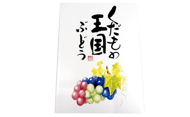 ぶどう 2026年 先行予約 シャインマスカット ＆ マスカットノワール 各1房入り 約1.2kg 岡山県 赤磐市 ブドウ 果物 フルーツ