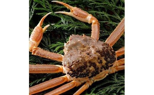 y挧khz762.yz 2025N11  tɁyuh^Otzi800g×1t) 313726_BS007VC01