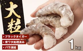 至福の大粒 むきえび　背ワタ処理済 1kg　ブラックタイガー 冷凍 ムキエビ  大型 海老