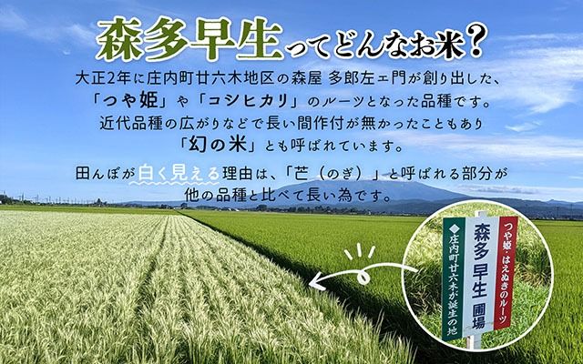 yR`cSzJA܂ ̕ Y X100%gp Xg[g܂ 720ml×2{ mAR[ ޓ_H sgp Y č  yHi Î r