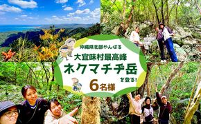 沖縄県北部やんばる・大宜味村最高峰ネクマチヂ岳を登る【6名様】