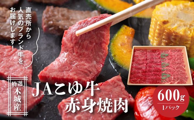 y{茧؏钬zJA䋍 I؏Y Ԑg(EEf)600 ēp K56_0007