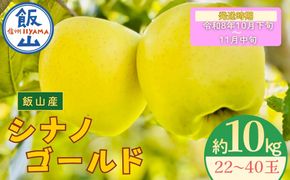 【先行予約丨2026年10月下旬より順次発送】シナノゴールド【約10kg (22〜40玉)】(At-016)丨長野県 飯山市 おすすめ ランキング おいしい 高評価 大人気 先取り 産地直送 りんご