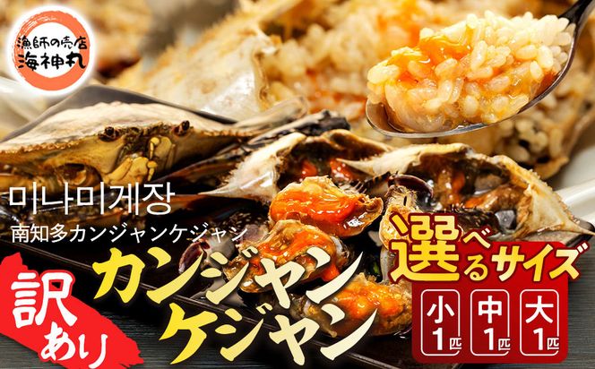 【選べる サイズ】訳あり 南知多カンジャンケジャン カンジャンケジャン ワタリガニの醤油漬け 魚介 魚介類 ワタリガニ 渡蟹  蟹 新鮮 グルメ カニ お米 に合う コメ に合う こめ に合う ご飯 のお供 おすすめ 韓国料理 韓国グルメ ケジャン おいしいカニ  晩酌 肴 おかず そうめん 雑炊 濃厚 内子 海の幸 国産 夕食 万能 まるごと ふるさと納税カニ 自家製ダレ 蟹の旨味 愛知県 南知多