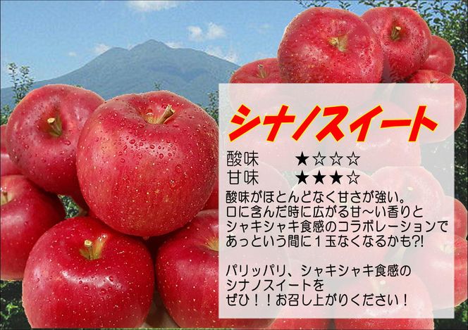 鶴田町　25年3月おすすめ返礼品！初夏までおいしい理由がある！【5月発送クール便】白熊 贈答用シナノスイート約3kg スマートフレッシュ 糖度13度【青森りんご 果物 フルーツ 果物類 デザート 食後 おやつ 青森のりんご 】