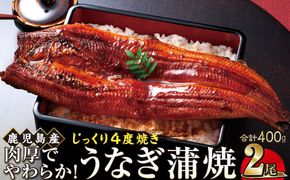 うなぎ 蒲焼 200g×2尾【鹿児島産】地下水で育てた絶品鰻 464686_AQ108