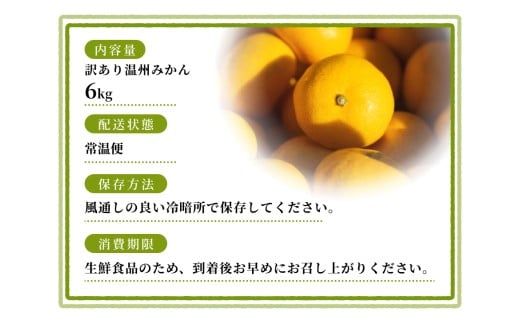 【訳あり】 温州みかん 約6kg 和歌山県産 2S~2Lサイズ混合※2025年11月上旬～2026年2月中旬ごろに順次発送【mrmt009】