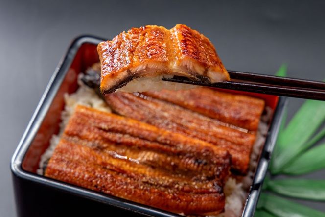 うなぎ 国産 うなぎ蒲焼セット カット2P (80g×2P 小袋たれ山椒付×2P) [静岡うなぎ漁業協同組合 静岡県 吉田町 22424689] 静岡県産 吉田町産 鰻 ウナギ 蒲焼き 蒲焼 かば焼き カバヤキ 真空パック 冷凍 うなぎ うな丼 うな重 鰻重 土用の丑の日 丑の日