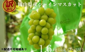 訳あり シャインマスカット 2～3房 合計1.6kg以上 産地直送 朝採れ ぶどう 葡萄 シャイン マスカット 岡山 Kawahara Green Farm 岡山県産 2026年 先行予約