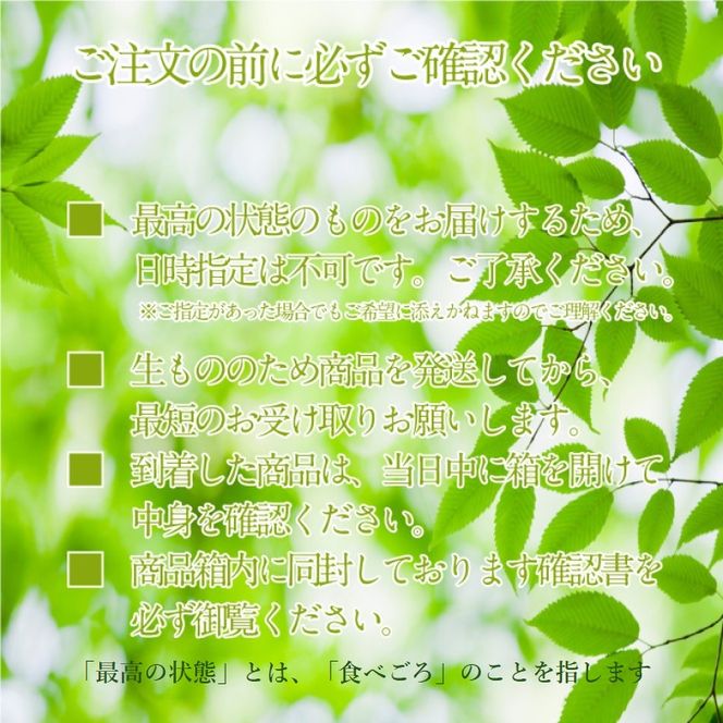 ぶどう 2026年 先行予約 【プレミアムシャインマスカット 晴王 1房 約600g】船穂産 赤秀品以上  岡山県産 葡萄 ブドウ ギフト ハレノフルーツ 皮ごと食べる みずみずしい 