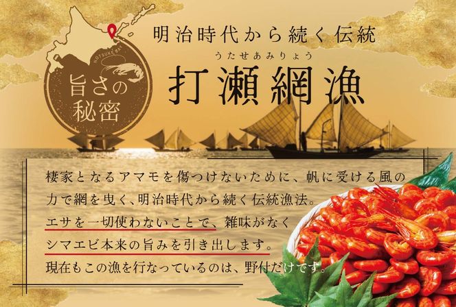 北海道野付産 北海シマエビL 1kg(500g×2)【NK0002RL1】