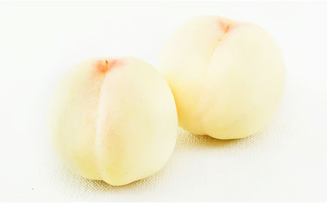 桃 ぶどう 2026年 先行予約 果物 詰合せ 白桃 2玉（1玉220g以上）ニューピオーネ 2房（1房480g以上）化粧箱入り もも 葡萄 岡山県産 国産 フルーツ 果物 ギフト 上品な甘み とろける 強い甘み 酸味 [№5735-1468]