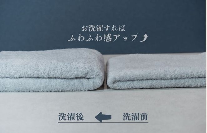 015B482 スーピマバスタオル 2枚（グレー）【国内製造 日本製 泉州タオル スーピマコットン 無地 吸水力 耐久性】