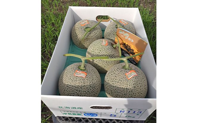 【2026年7月～発送】北海道 富良野市 ふらの赤肉 メロン 4～5玉入り 計 約8kg (中島農園) メロン フルーツ 果物 新鮮 甘い 贈り物 ギフト 道産 ジューシー おやつ ふらの ブランド 夏 