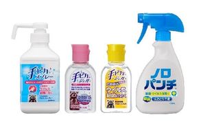 【000366】手ピカご家庭用セット【アルコール消毒】（指定医薬部外品）
