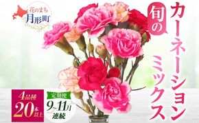 ＜2026年9月～11月まで3ヵ月連続お届け＞北海道 カーネーション ミックス 4品種 20本以上 花 花束 切花 ブーケ 旬 季節 生花 フラワー アレンジメント 