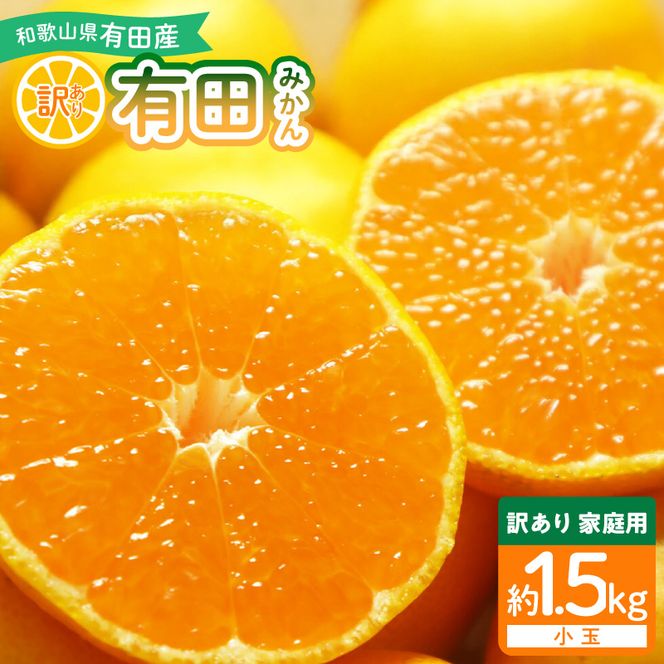 和歌山県産 有田みかん【訳あり 家庭用】約1.5kg 小玉 3S～Sサイズ おまかせ_DI6045