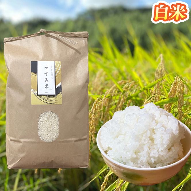 【2026年9月下旬より順次発送】★新米★R8年産 かすみ米 5kg(白米または玄米)【茨城県共通返礼品/潮来市】｜米 お米 新米 こめ かすみ米 5kg 白米 玄米 共通返礼品 茨城県共通返礼品 数量限定 先行予約 人気 送料無料(BI-88)