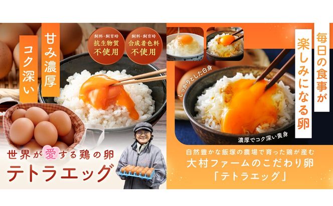 【J3-015】テトラエッグ(40個/月)【12ヵ月定期便】