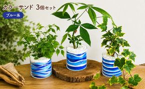 カラーサンド 3個 セット ブルー系 植物 インテリア ガーデン 