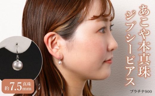 y{茧sz{^Ԃ牺WvV[sAX^7.5mmv`i900 N0119-YZG0136