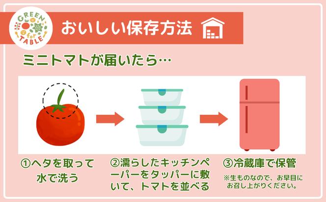 【 先行予約 】 美粒トマト ミニトマト サンチェリー 1kg 2026年7月発送 トマト 新鮮 採れたて フレッシュ 野菜 農家直送 1キロ 人気 おすすめ ギフト 贈答 プレゼント 福島県 田村市 田村 GREEN for TABLE