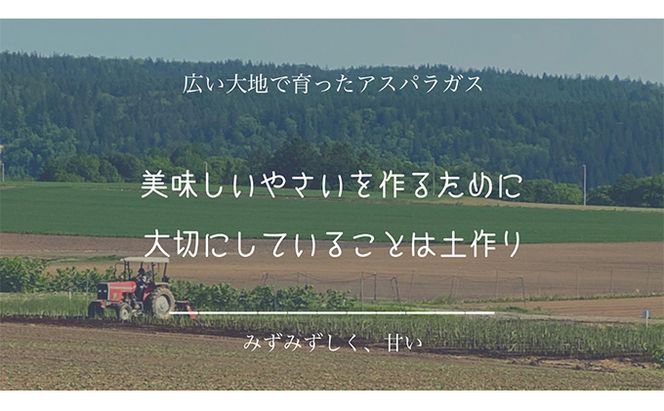 ［武田農園とれたて直送］2027年春～発送 訳あり グリーンアスパラ サイズ混合 約1kg ご家庭用 やわらかくて抜群に甘い！北海道 富良野産 ( アスパラガス アスパラ 野菜 新鮮 産地直送 先行予約 限定 )