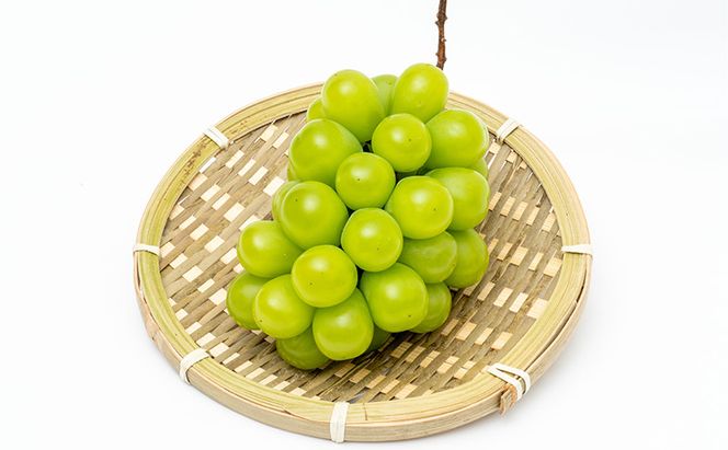 ぶどう 2026年 先行予約 シャイン マスカット 晴王 1房 （1房670g以上） 化粧箱入り マスカット ブドウ 葡萄  岡山県産 国産 フルーツ 果物 ギフト 贈答品 高級 大粒 種無し 贈り物 