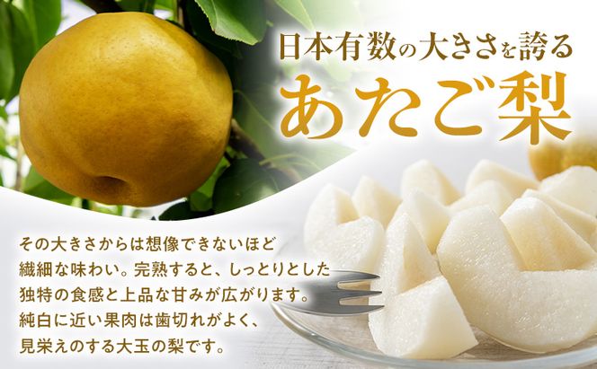 あたご梨 2玉 合計約1.8kg 梨 なし 果物 フルーツ 岡山県産 2026年