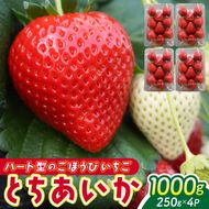 【2026年1月発送開始】【先行予約】ハート型のご褒美いちご とちあいか 合計1kg (250ｇ×4パック) | 栃木県 ふるさと納税 いちご イチゴ 苺 果物 フルーツ とちあいか 熟成 ご褒美 ハート型 こだわり (DS001)