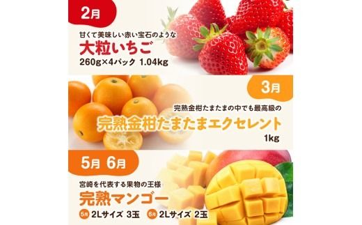 【6ヶ月定期便】大人気くだもの定期便Vol.3【 川南町産 くだもの いちご イチゴ きんかん マンゴー シャインマスカット ピオーネ  】[B11708t6]