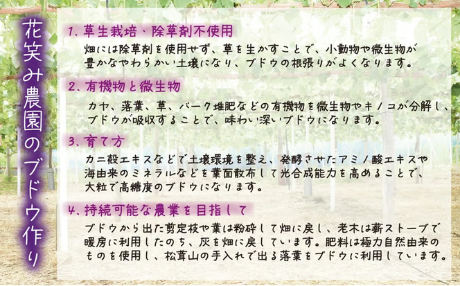 【2026年先行予約】 ぶどう 岡山 花笑み農園のぶどう【10月おすすめ 2種セット】1kg（2房） / ぶどう 詰め合わせ 食べ比べ ブドウ シャインマスカット ピオーネ クイーンニーナ オーロラブラック 瀬戸ジャイアンツ 翠峰 BKシードレス マスカサーティーン マスカットノワール 雄宝 マイハート 真庭市【hana020-02】