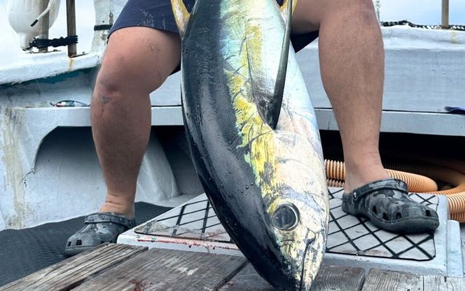 遊漁船「第八十八翔栄丸」 乗船利用クーポン 3000円分 / 釣り 海釣り 船釣り 釣り船 魚釣り フィッシング fishing 漁船 体験 チケット クーポン ジギング ジギング船 タイラバ トンジキ イカメタル アジング サビキ釣り イカ釣り キャスティング 三重県 紀宝町【sem001】