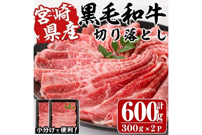 宮崎県産黒毛和牛切り落とし(計600g・300g×2P)牛肉 精肉 お肉 モモ 肩 カタ バラ ミックス 小分け すき焼き しゃぶしゃぶ 牛丼 肉じゃが 国産 冷凍【P-20】【南日本フレッシュフード株式会社(日本ハムマーケティング株式会社)】