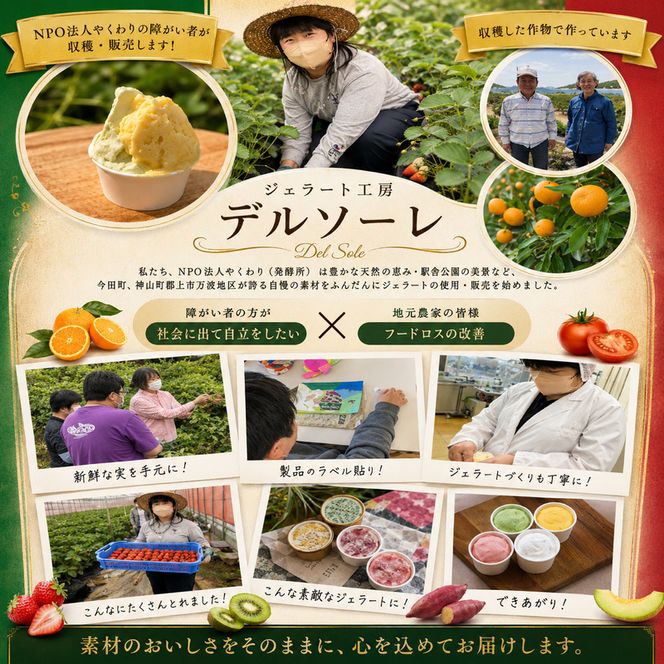 デルソーレ　ジェラート★大人気！旬の6種詰め合せ★（12個入り） セット 袋井市