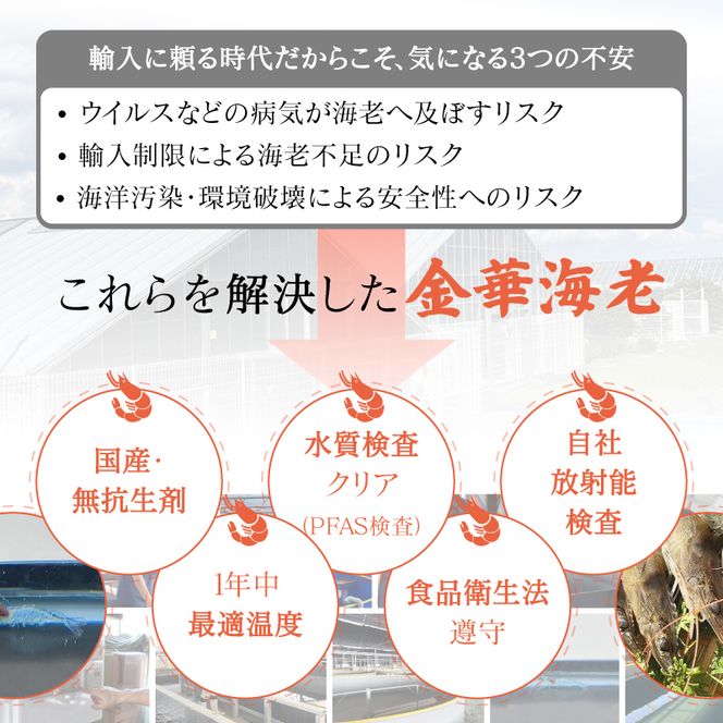 岐阜県池田町産 金華海老 250g×4パック 計1kg 海老 エビ えび 【配送不可：離島】