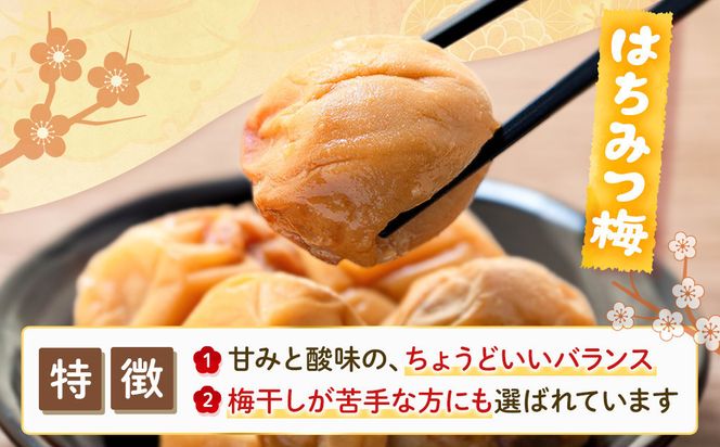 訳あり 紀州南高梅 小梅 まごころ はちみつ梅 90g ×4パック 減塩5％ ［TR9w］ 304018_CS021