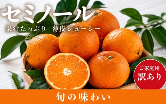 【ご家庭用訳あり】ジューシー柑橘　セミノールオレンジ　5kg【5月上旬～5月下旬に順次発送予定】【uot870】